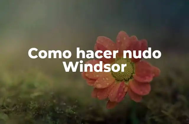 Como Hacer Nudo Windsor