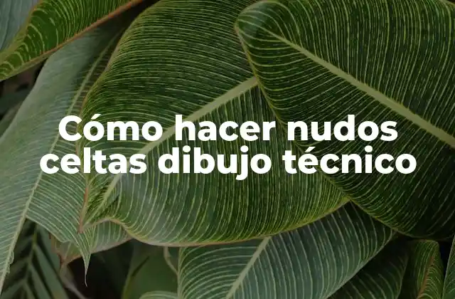Cómo Hacer Nudos Celtas Dibujo Técnico