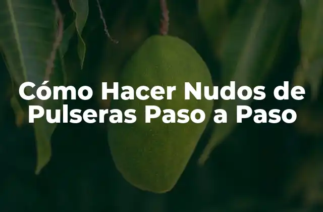 Cómo Hacer Nudos de Pulseras Paso a Paso 2 Cómo Hacer Nudos de Pulseras Paso a Paso