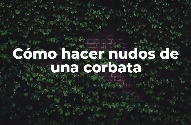 Cómo Hacer Nudos de una Corbata