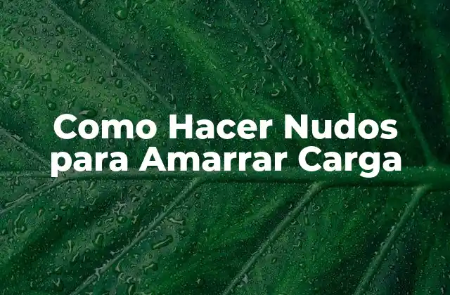 Como Hacer Nudos para Amarrar Carga 2 Como Hacer Nudos para Amarrar Carga