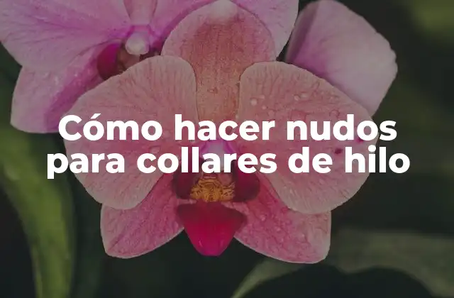 Cómo Hacer Nudos para Collares de Hilo
