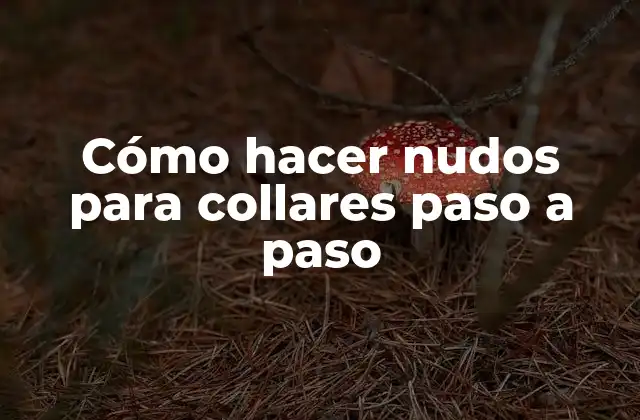 Cómo Hacer Nudos para Collares Paso a Paso