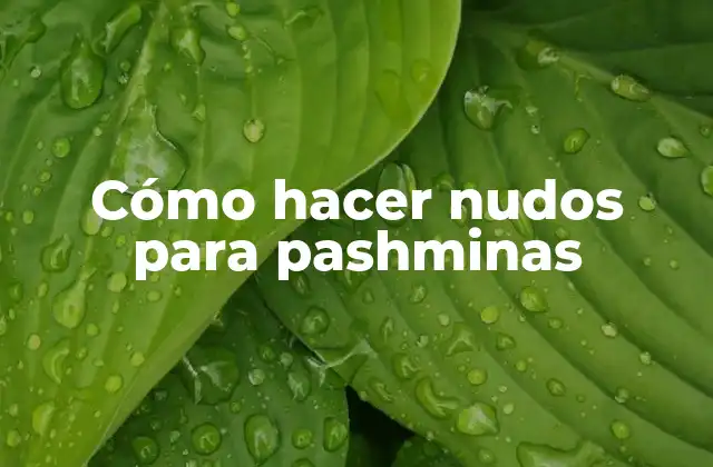 Cómo Hacer Nudos para Pashminas