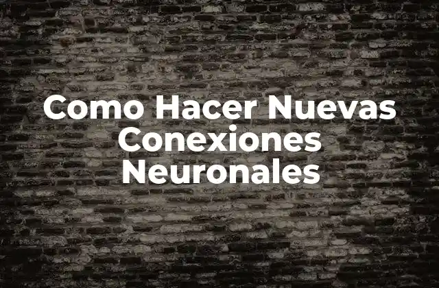 Como Hacer Nuevas Conexiones Neuronales