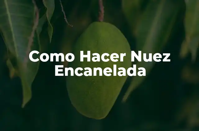 Como Hacer Nuez Encanelada