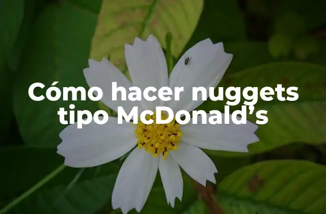 Cómo hacer nuggets tipo McDonald's