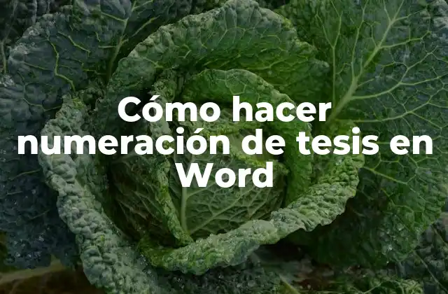 Cómo Hacer Numeración de Tesis en Word