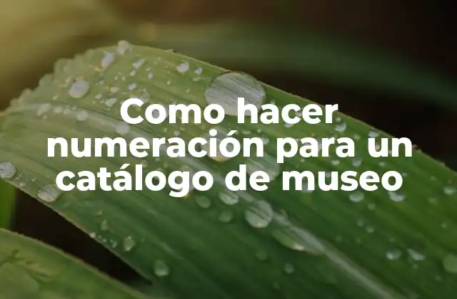 Como Hacer Numeración para un Catálogo de Museo