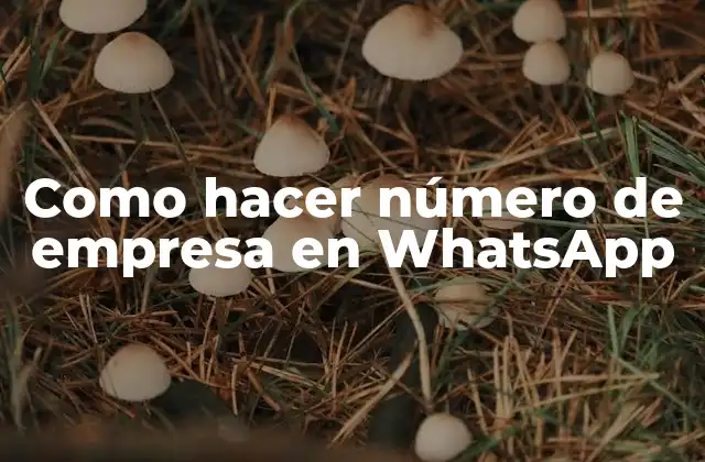 Como Hacer Número de Empresa en Whatsapp