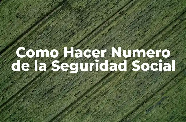 Como Hacer Numero de la Seguridad Social