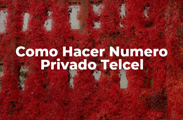 ¿Qué es un Número Privado en Telcel?