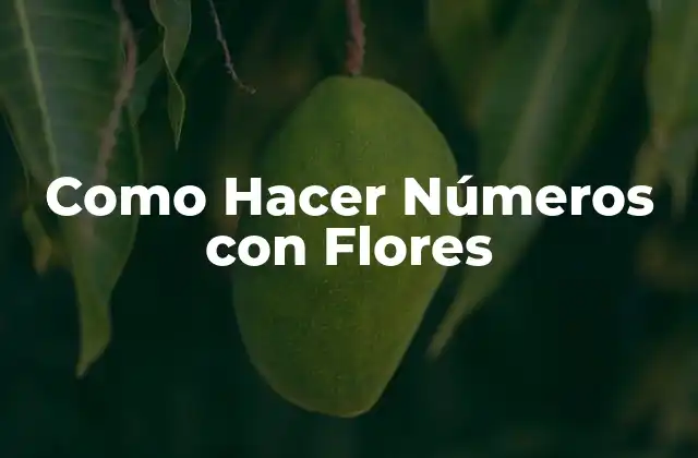 Como Hacer Números con Flores