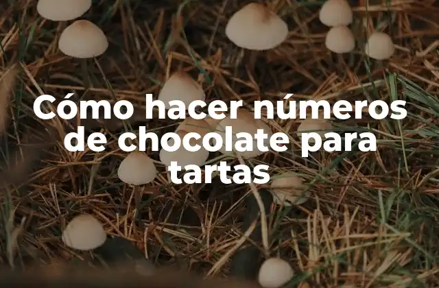 Cómo Hacer Números de Chocolate para Tartas