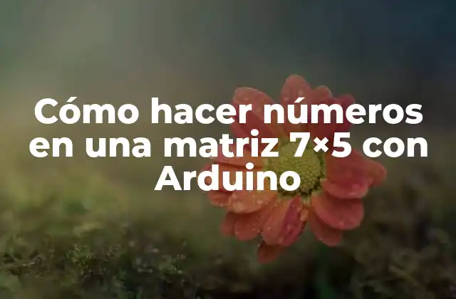 Cómo Hacer Números en una Matriz 7×5 con Arduino