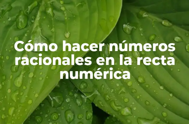 Cómo Hacer Números Racionales en la Recta Numérica