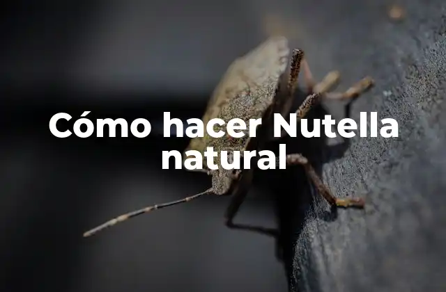 Cómo Hacer Nutella Natural