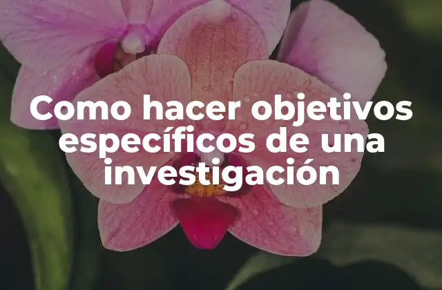 Como Hacer Objetivos Específicos de una Investigación 2 Objetivos específicos de una investigación científica