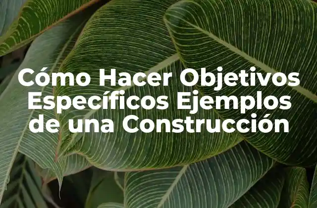 Cómo Hacer Objetivos Específicos Ejemplos de una Construcción