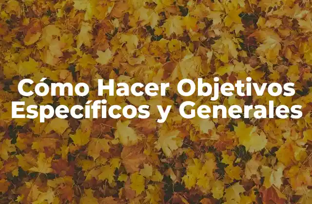 Cómo Hacer Objetivos Específicos y Generales