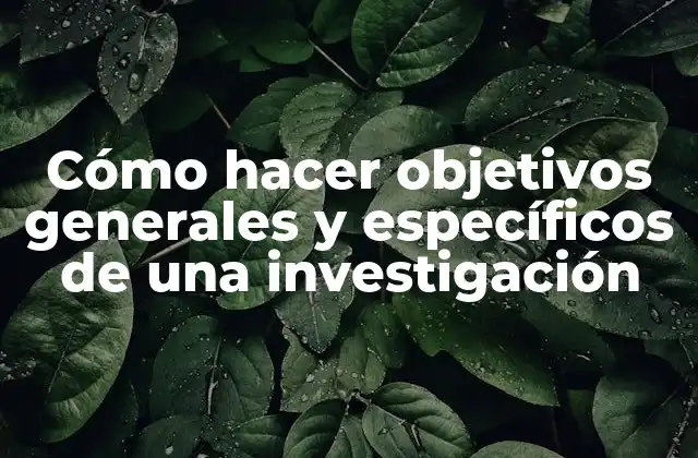 Cómo Hacer Objetivos Generales y Específicos de una Investigación
