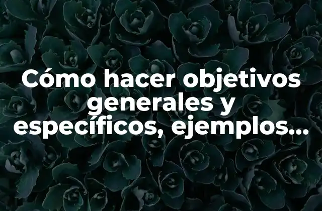 Cómo Hacer Objetivos Generales y Específicos, Ejemplos para Hoteles