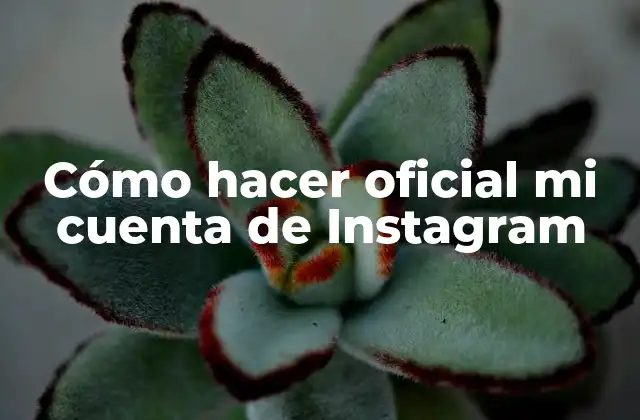 Cómo Hacer Oficial Mi Cuenta de Instagram