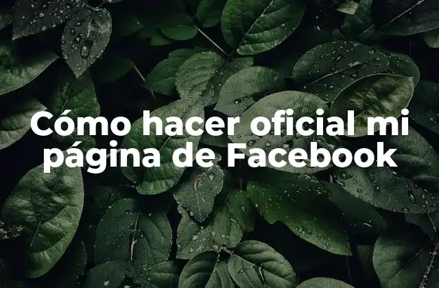 Cómo Hacer Oficial Mi Página de Facebook