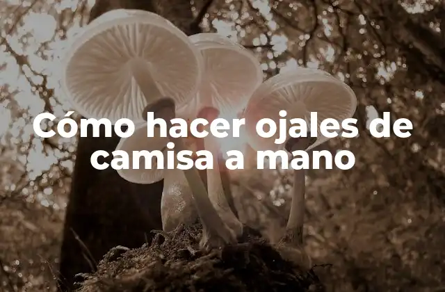 Cómo Hacer Ojales de Camisa a Mano