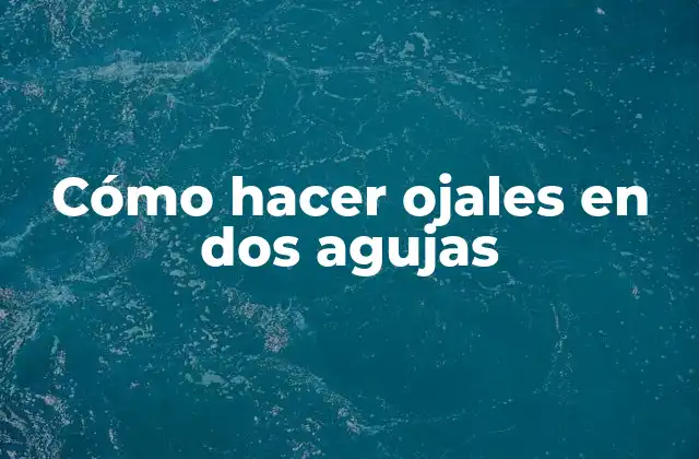 Cómo Hacer Ojales en Dos Agujas