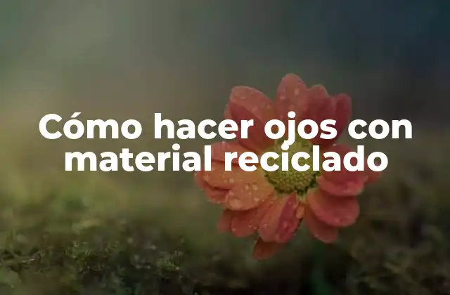 Cómo Hacer Ojos con Material Reciclado