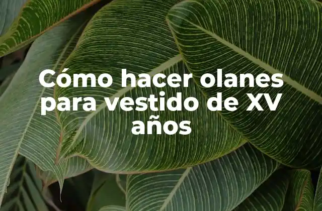 Cómo Hacer Olanes para Vestido de Xv Años