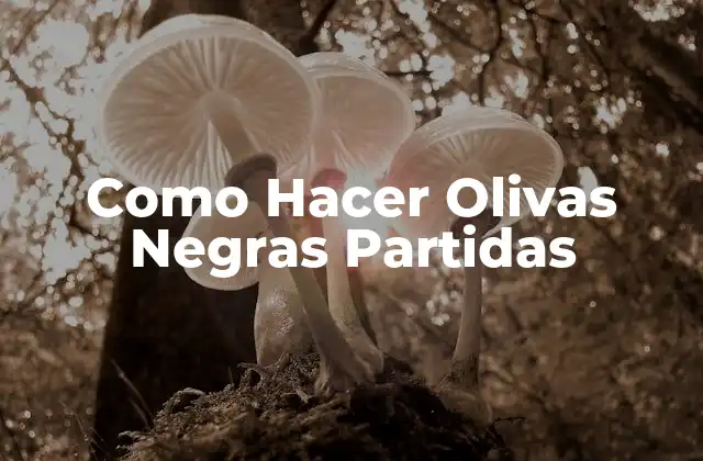Como Hacer Olivas Negras Partidas