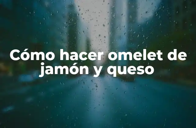 Cómo Hacer Omelet de Jamón y Queso 2 ¿Qué es un omelet de jamón y queso?
