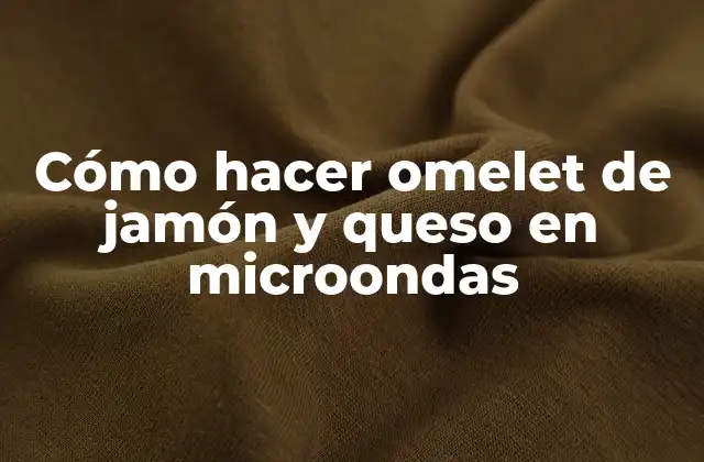 Cómo Hacer Omelet de Jamón y Queso en Microondas