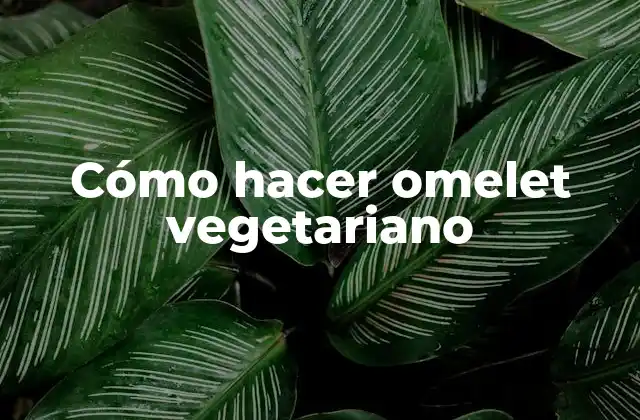 ¿Qué es un omelet vegetariano?
