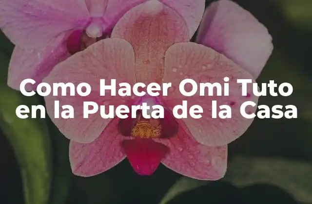 Como Hacer Omi Tuto en la Puerta de la Casa