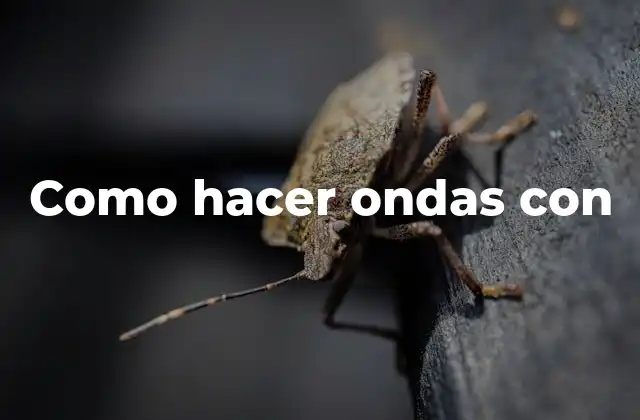 Como Hacer Ondas con