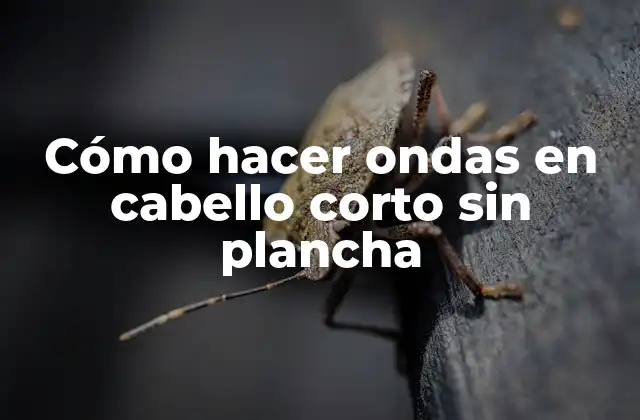 Cómo Hacer Ondas en Cabello Corto sin Plancha