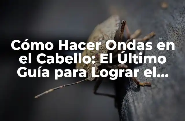 Cómo Hacer Ondas en el Cabello: el Último Guía para Lograr el Estilo Perfecto