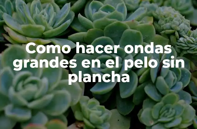 Como Hacer Ondas Grandes en el Pelo sin Plancha 2 Como hacer ondas grandes en el pelo sin plancha