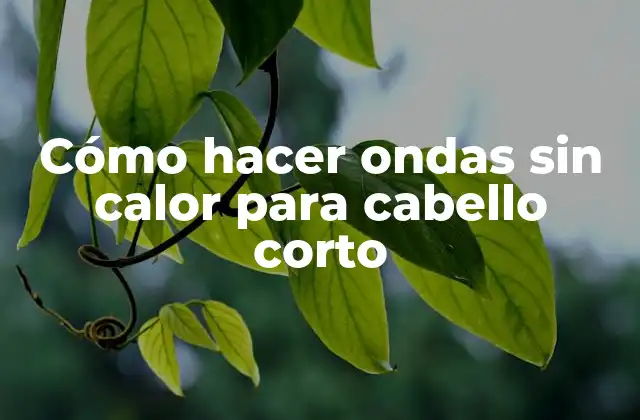 Cómo Hacer Ondas sin Calor para Cabello Corto