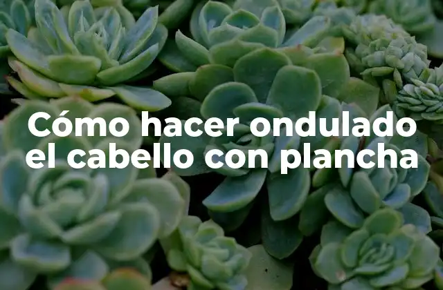Cómo Hacer Ondulado el Cabello con Plancha