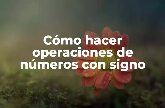 Cómo Hacer Operaciones de Números con Signo