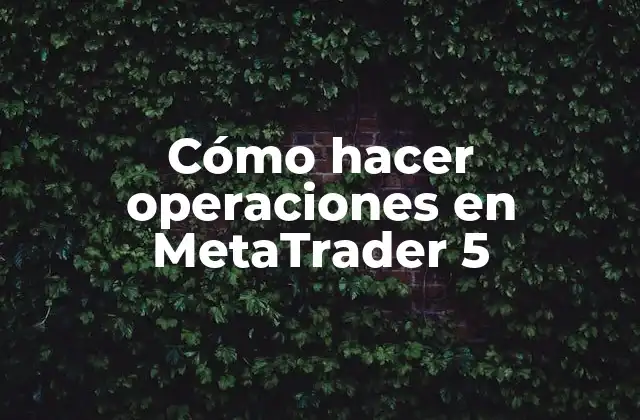 Cómo Hacer Operaciones en Metatrader 5