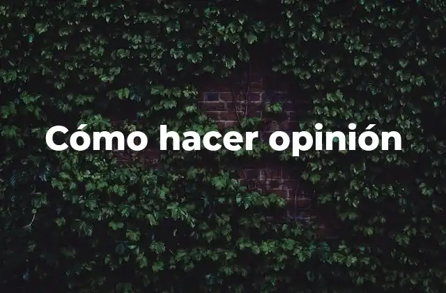 Cómo Hacer Opinión