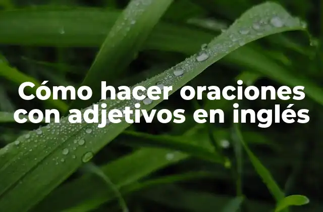 Cómo Hacer Oraciones con Adjetivos en Inglés