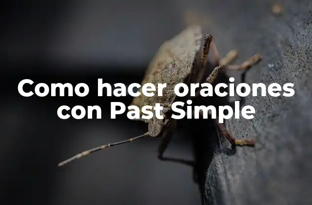 Como Hacer Oraciones con Past Simple