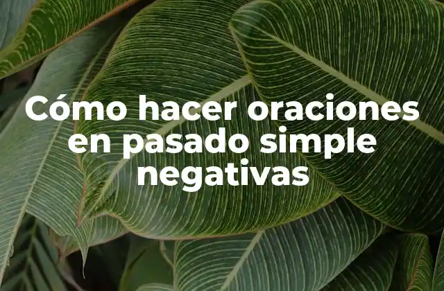 Cómo Hacer Oraciones en Pasado Simple Negativas