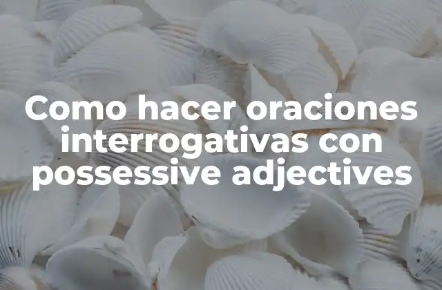 Como Hacer Oraciones Interrogativas con Possessive Adjectives